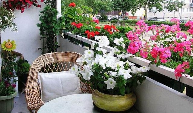 Kuşadası’nda   en güzel balkon yarışması başladı