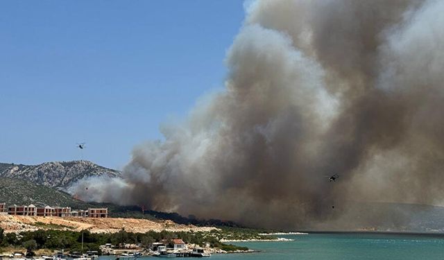 İzmir'de orman yangını: Havadan ve karadan müdahale