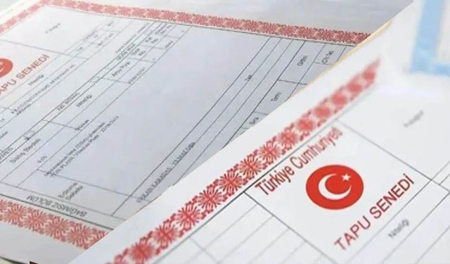 Mavi ve kırmızı tapu ne anlama geliyor?