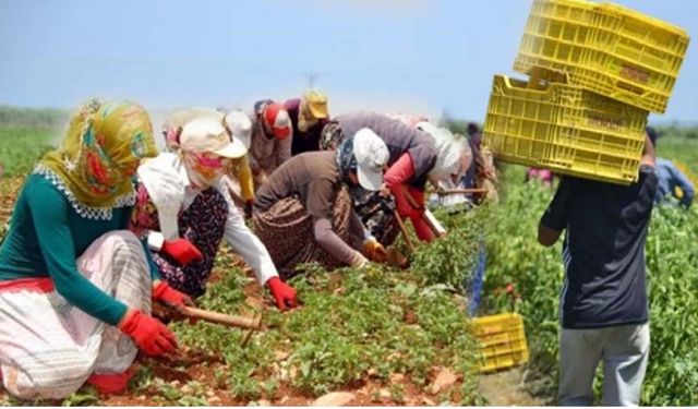 TZOB Başkanı açıkladı: Tarımda genç nüfus azalıyor