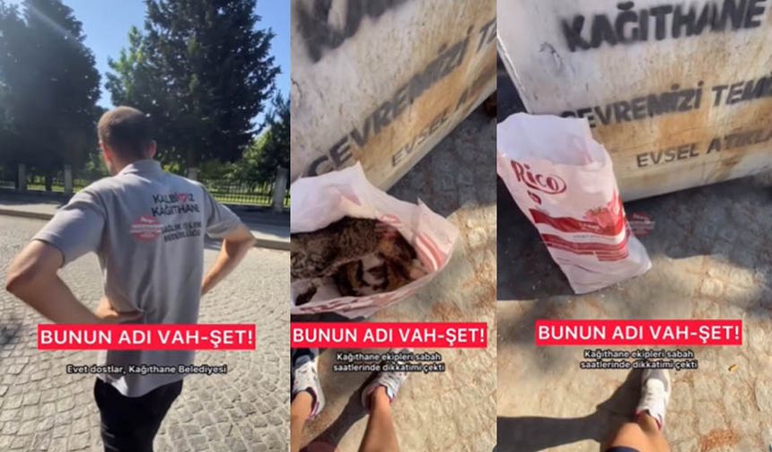 Kağıthane’deSokak kedileri çuvallarla toplandı