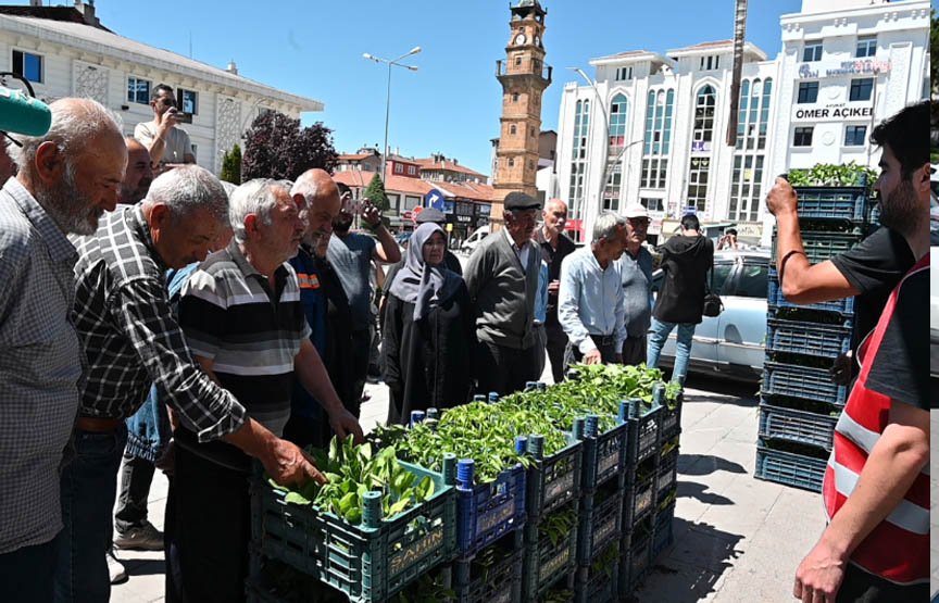 Çiftçiye Ücretsiz Fidan Dağıtımı