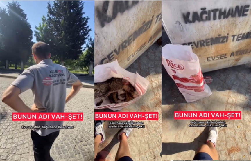 kağıthane-belediyesi-sokak-hayvanları