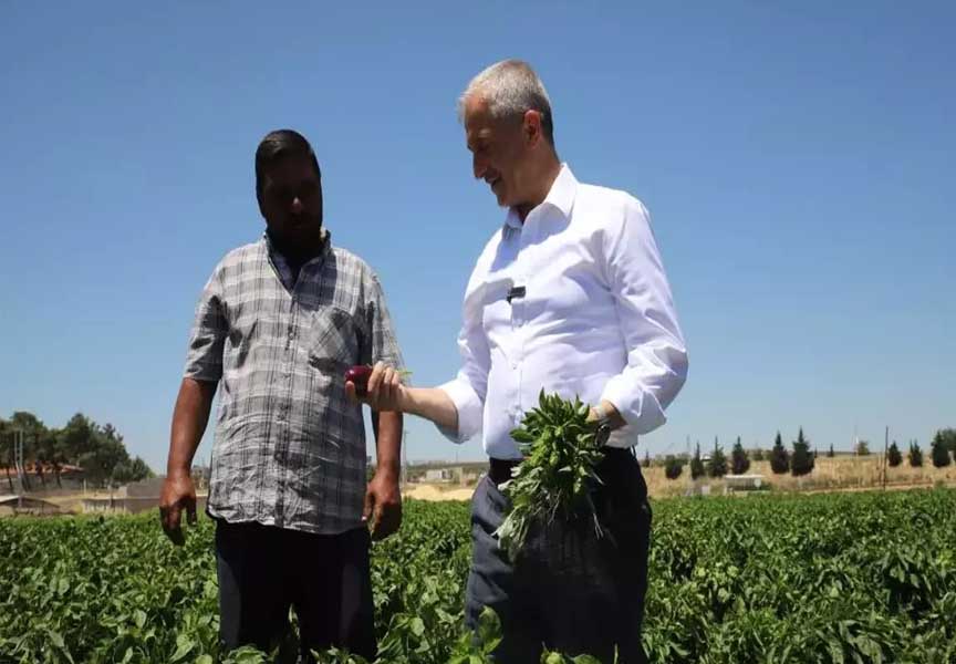 Şahinbey Belediyesinin desteğiyle hasat zamanı başladı